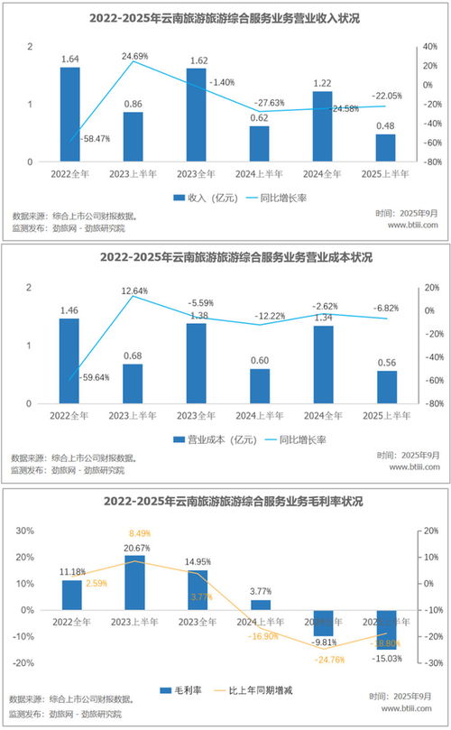 劲旅锐评 云南旅游旗下深圳华侨城文化旅游科技集团2025年上半年收入分析——聚焦住宿服务