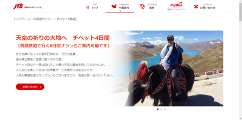 某大型在线旅游网站住宿服务 便捷与多样化的完美融合